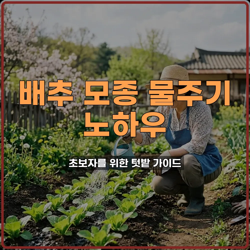 배추 모종 심고 뿌리 활착 전까지 매일 물주기