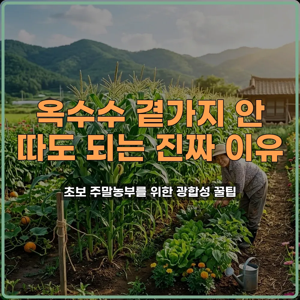 옥수수 곁가지