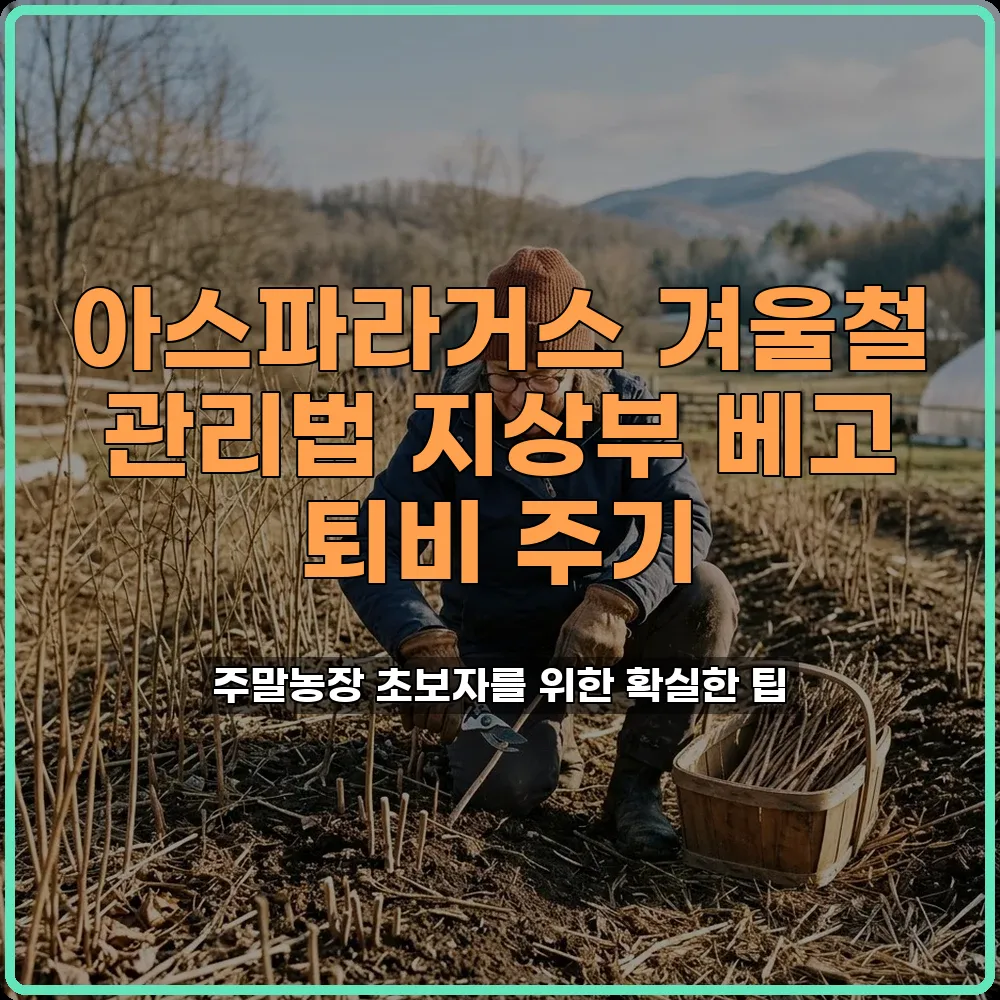 지상부베기