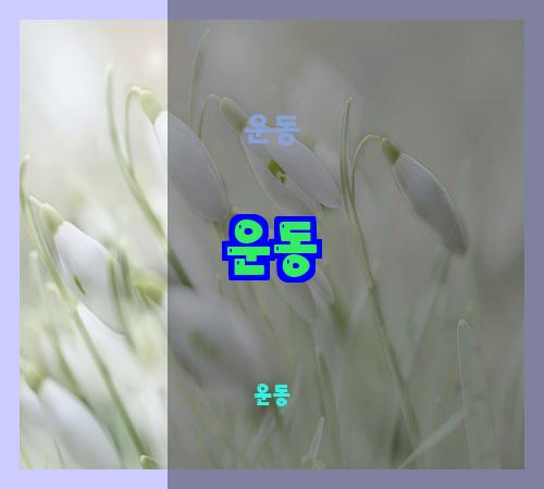 운동