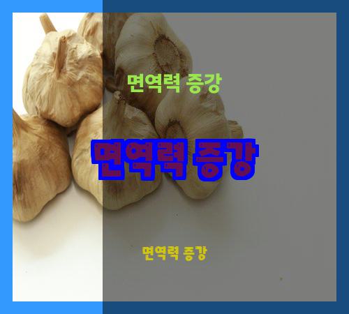 면역력 증강