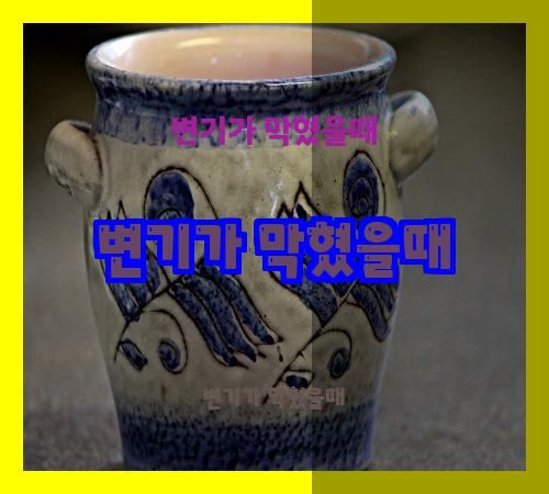 변기가 막혔을때