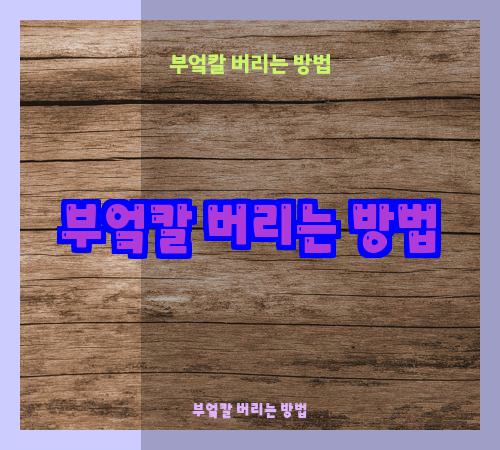 부엌칼 버리는 방법