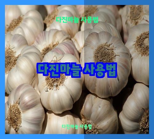 다진마늘 사용법