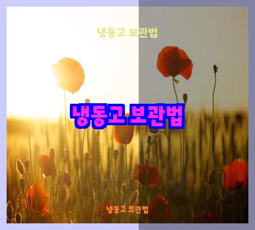 냉동고 보관법