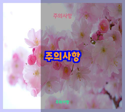 주의사항
