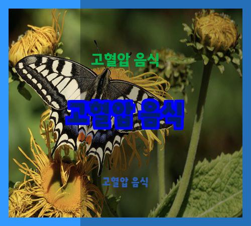 고혈압 음식