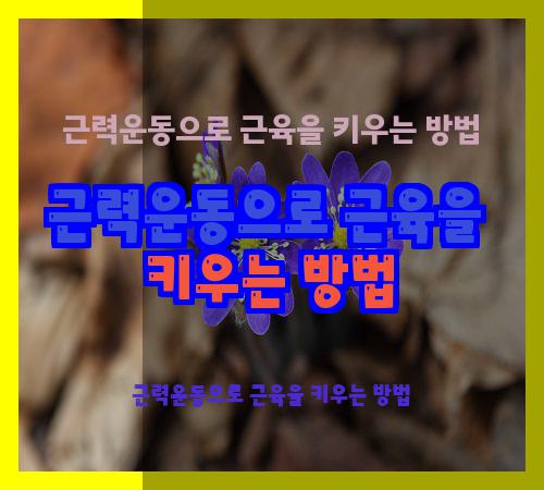 근력운동으로 근육을 키우는 방법