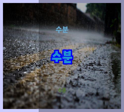 수분