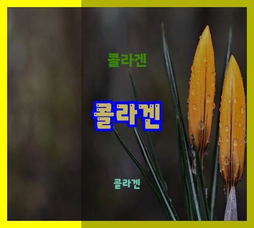 콜라겐