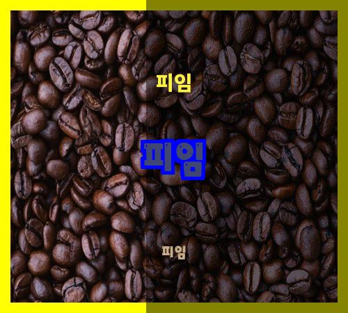 피임