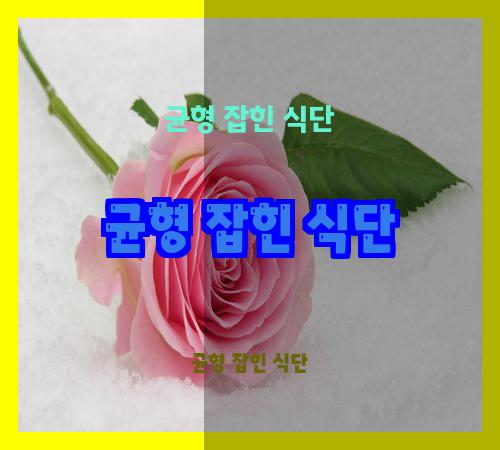 균형 잡힌 식단