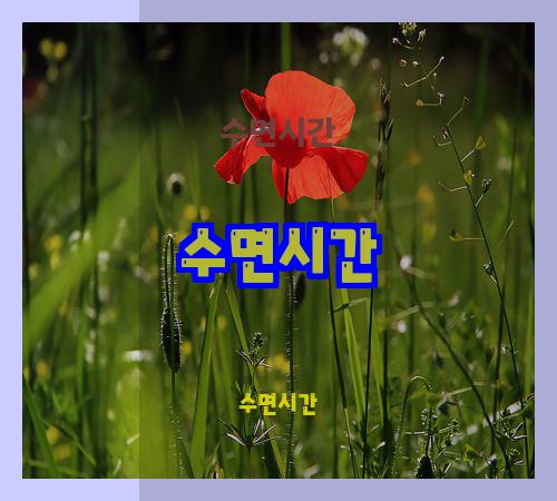 수면시간