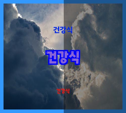 건강식