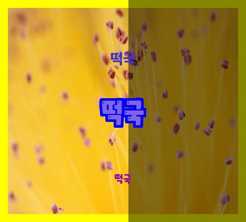 떡국