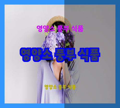영양소 풍부 식품