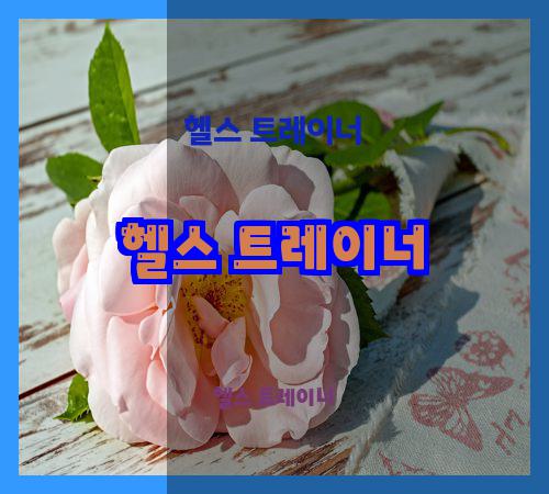 헬스 트레이너