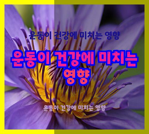 운동이 건강에 미치는 영향