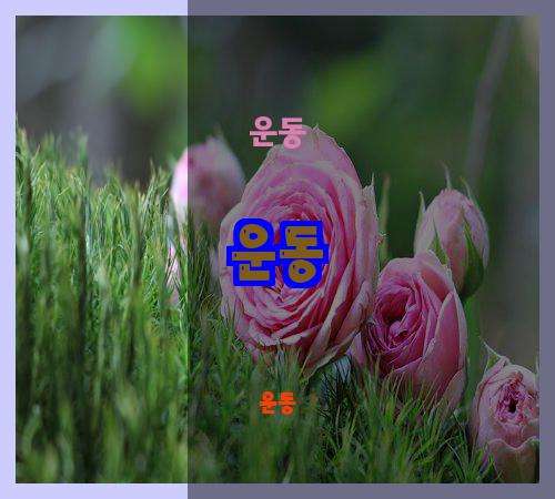 운동