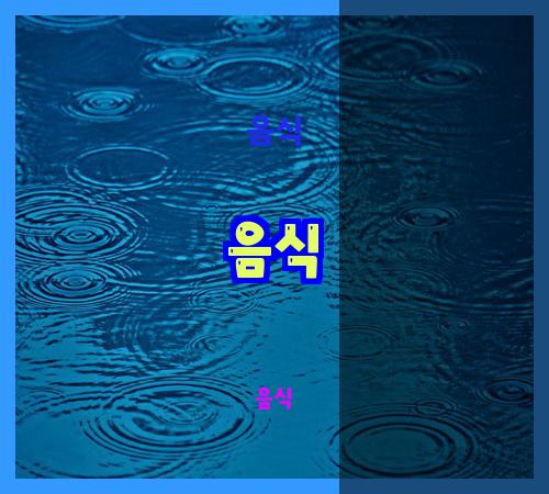 음식