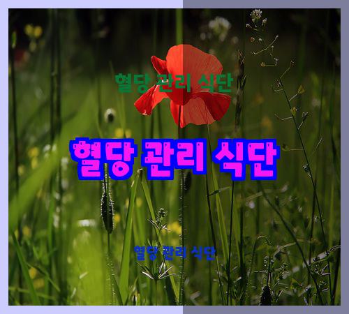 혈당 관리 식단