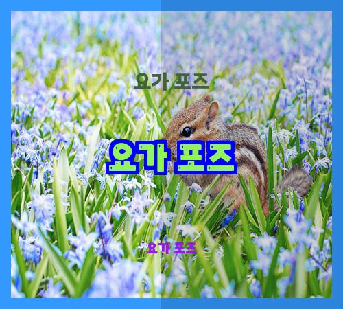 요가 포즈