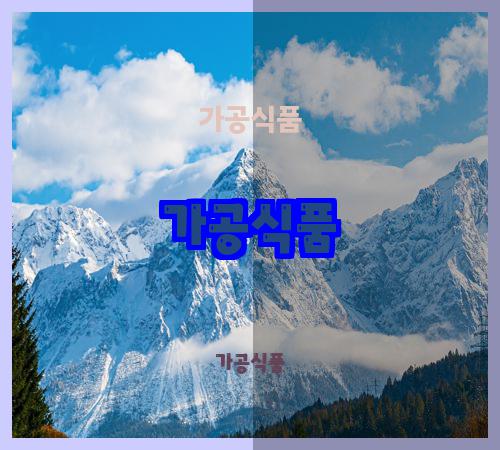 가공식품