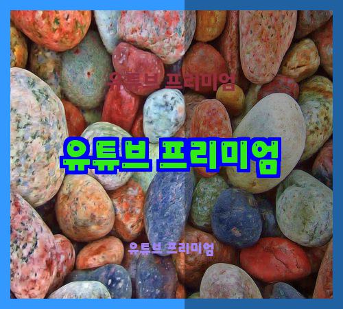 유튜브 프리미엄