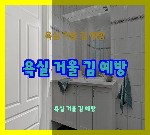 욕실 거울 김 예방