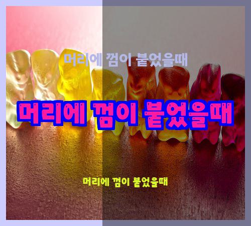 머리에 껌이 붙었을때