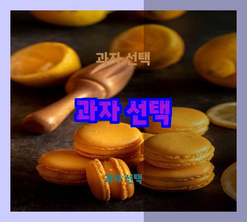 과자 선택