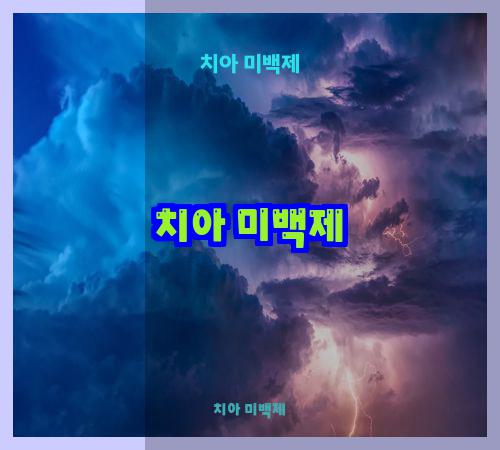 치아 미백제