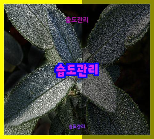 습도관리