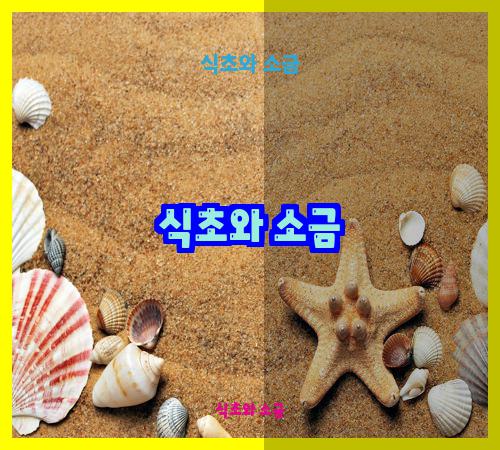 식초와 소금