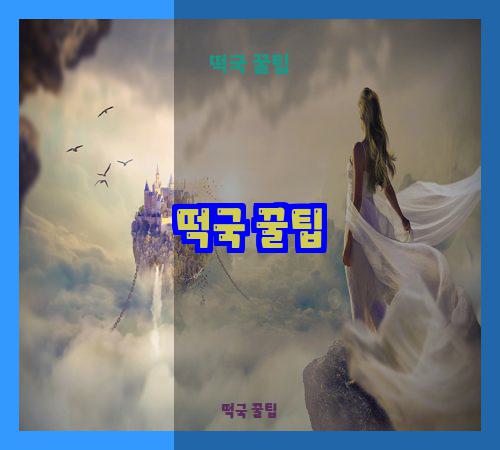떡국 꿀팁