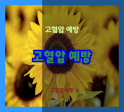 고혈압 예방