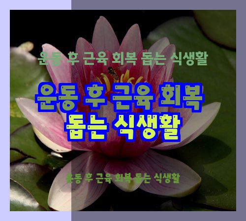 운동 후 근육 회복 돕는 식생활