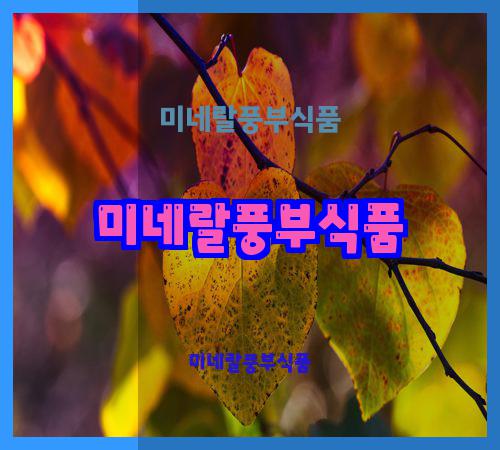 미네랄풍부식품