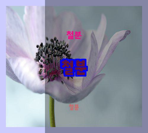 철분
