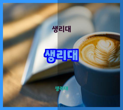 생리대