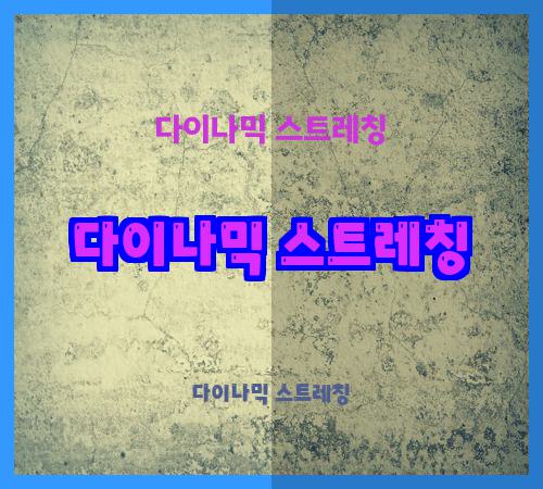다이나믹 스트레칭