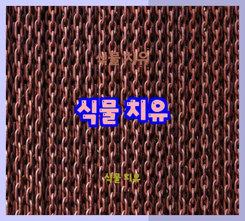 식물 치유