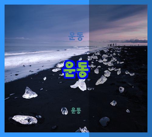 운동