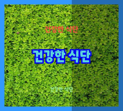 건강한 식단