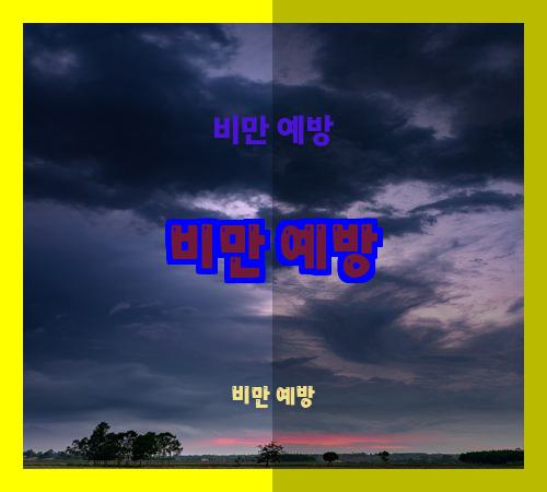비만 예방