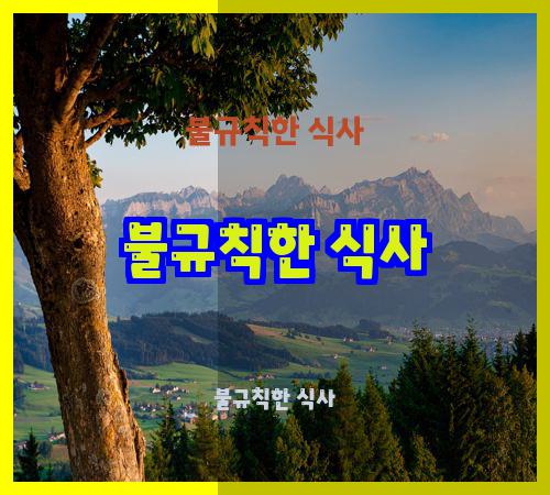 불규칙한 식사