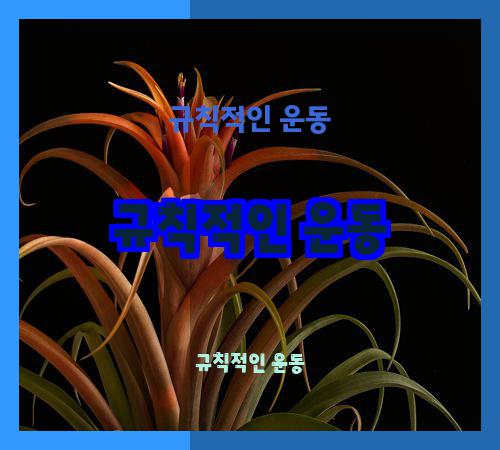 규칙적인 운동