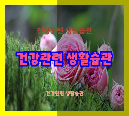 건강관련 생활습관