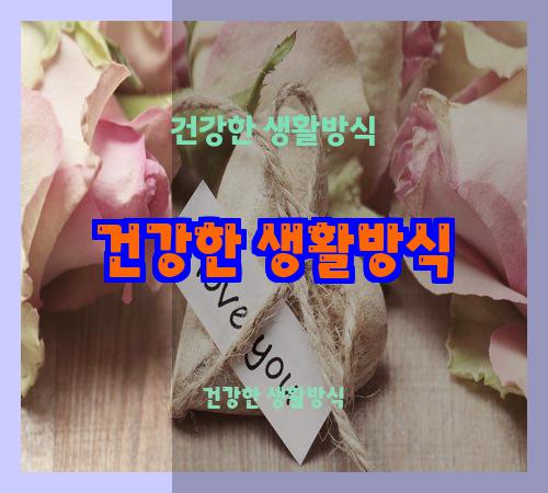 건강한 생활방식