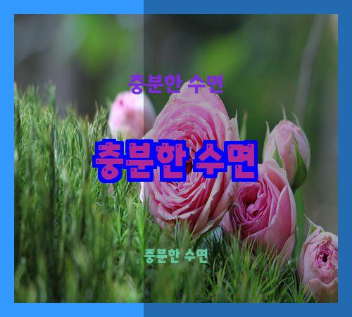 충분한 수면